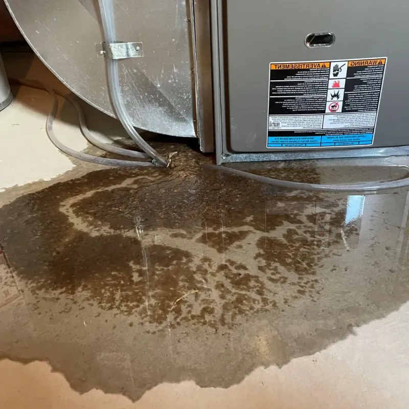 Pipe Burst and Leak Restoration in Osceola, IA