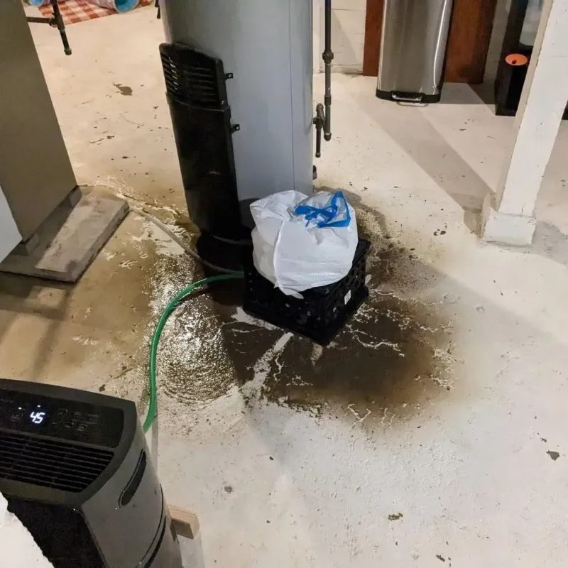 Sewage Backup Cleanup Service in Osceola, IA